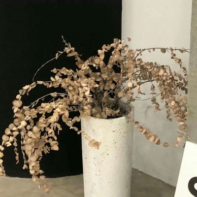 兽设动态姿势绘画参考福瑞交流群